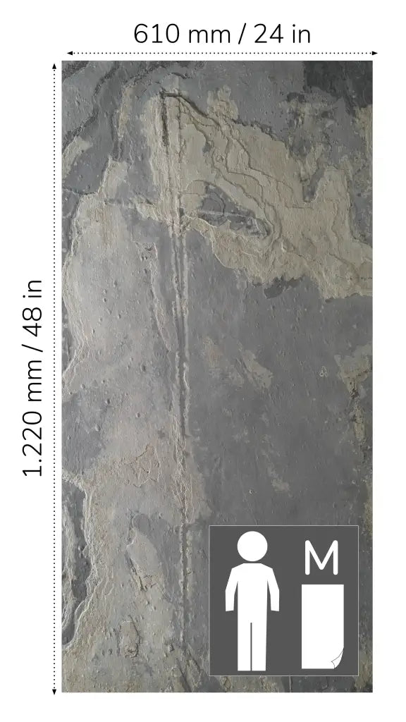 Translucent RUSTIQUE