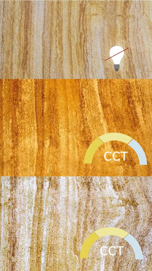 Translucent TEAKWOOD
